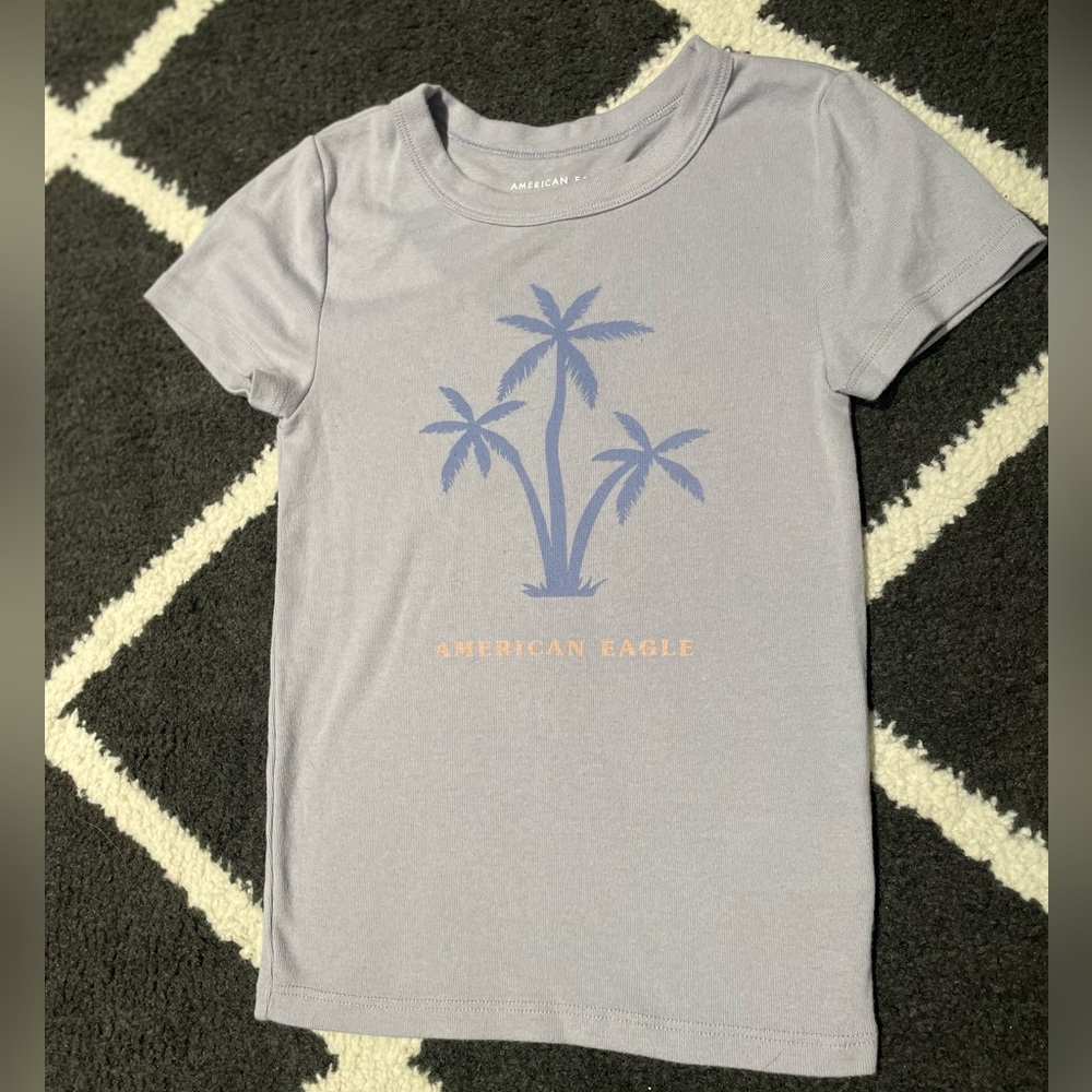 American Eagle Baby Tee